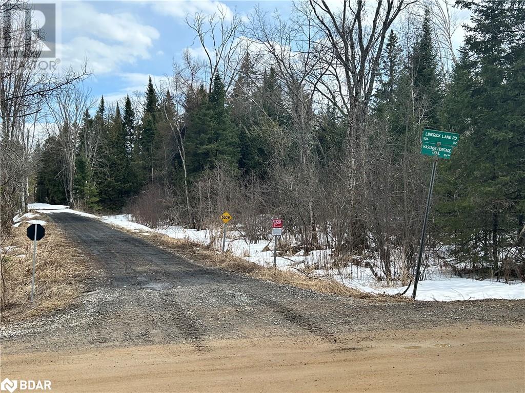 449 Limerick Lake Road, Limerick, Ontario  K0L 1W0 - Photo 31 - 40711944