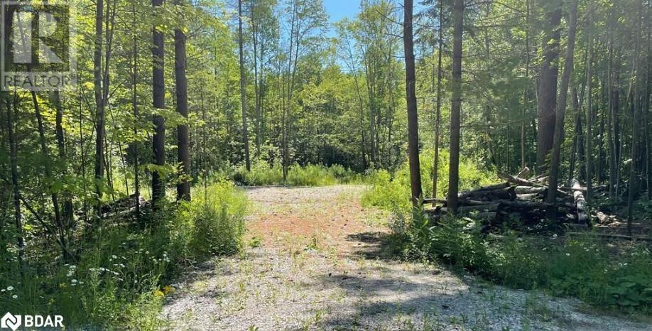 3469 Riverdale Drive, Washago, Ontario  L0K 2B0 - Photo 2 - 40707333