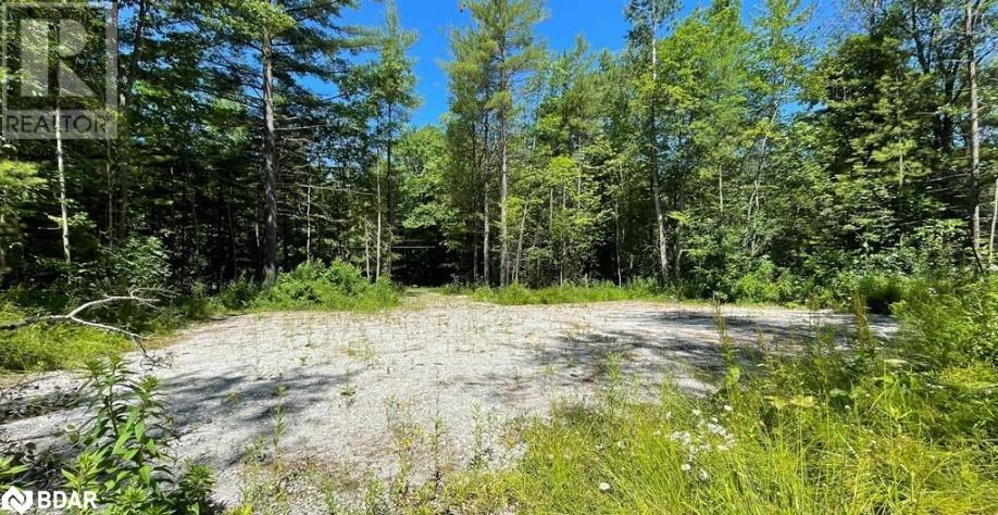 3469 Riverdale Drive, Washago, Ontario  L0K 2B0 - Photo 8 - 40707333