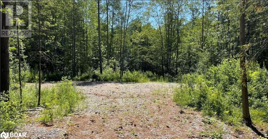 3469 Riverdale Drive, Washago, Ontario  L0K 2B0 - Photo 6 - 40707333