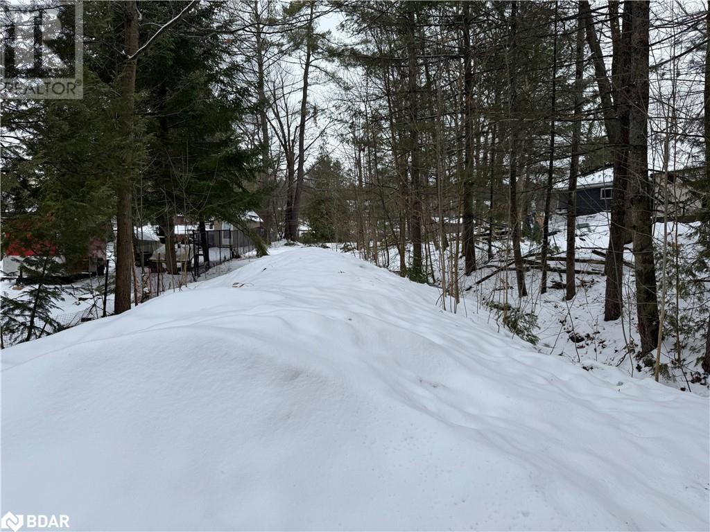 3469 Riverdale Drive, Washago, Ontario  L0K 2B0 - Photo 13 - 40707333