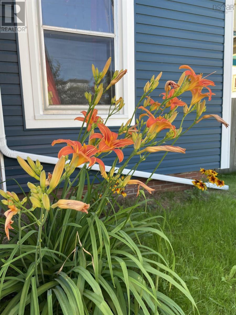 308 Granville Street, Bridgetown, Nova Scotia  B0S 1C0 - Photo 47 - 202506278