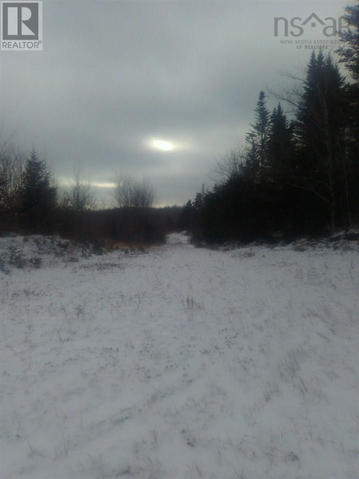 Old Antigonish Road, Antigonish, Nova Scotia  B0H 1R0 - Photo 14 - 202503380