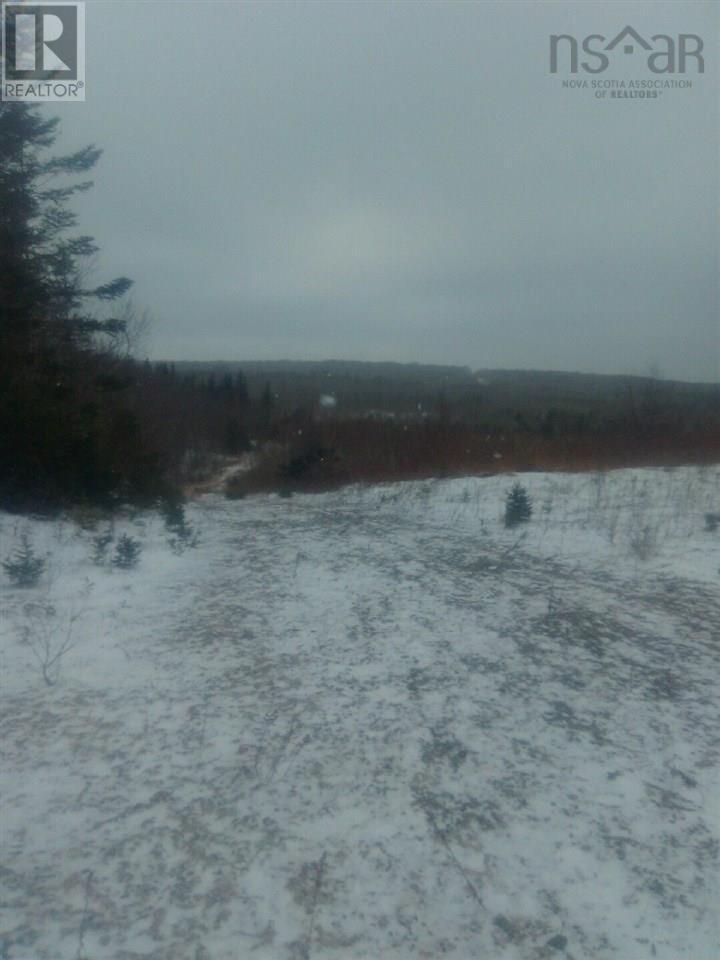 Old Antigonish Road, Antigonish, Nova Scotia  B0H 1R0 - Photo 15 - 202503380