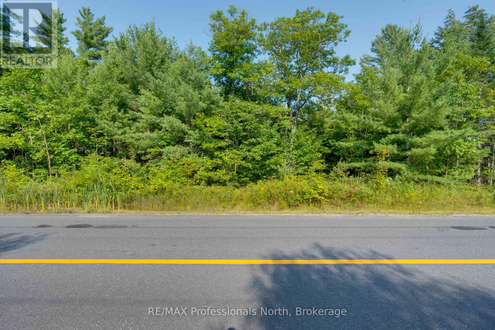 0 Bonnie Lake Road, Bracebridge, Ontario  P1L 1W9 - Photo 12 - X12051433