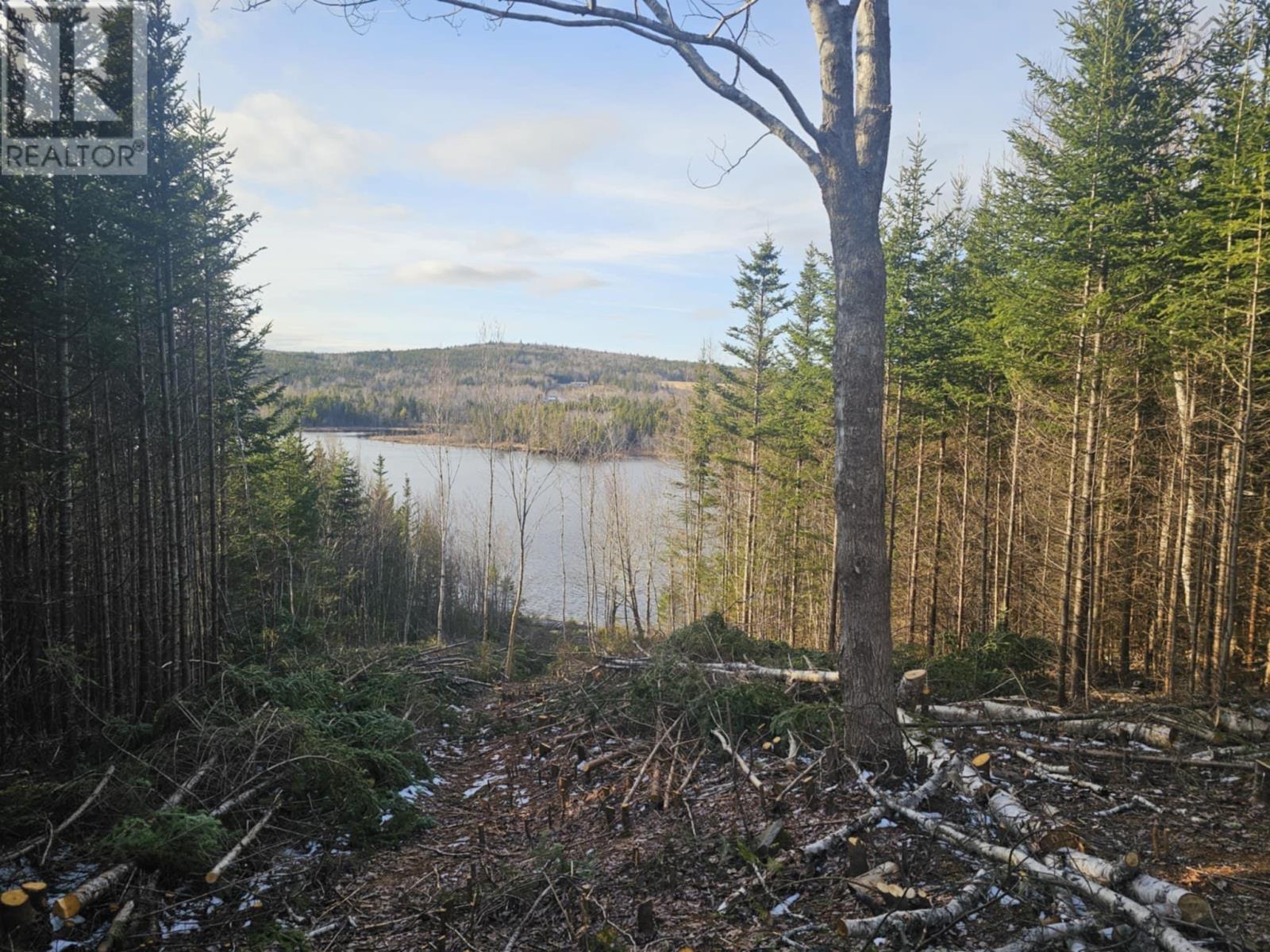 138 Grand Mira South Road, Marion Bridge, Nova Scotia  B1K 1E7 - Photo 16 - 202418101