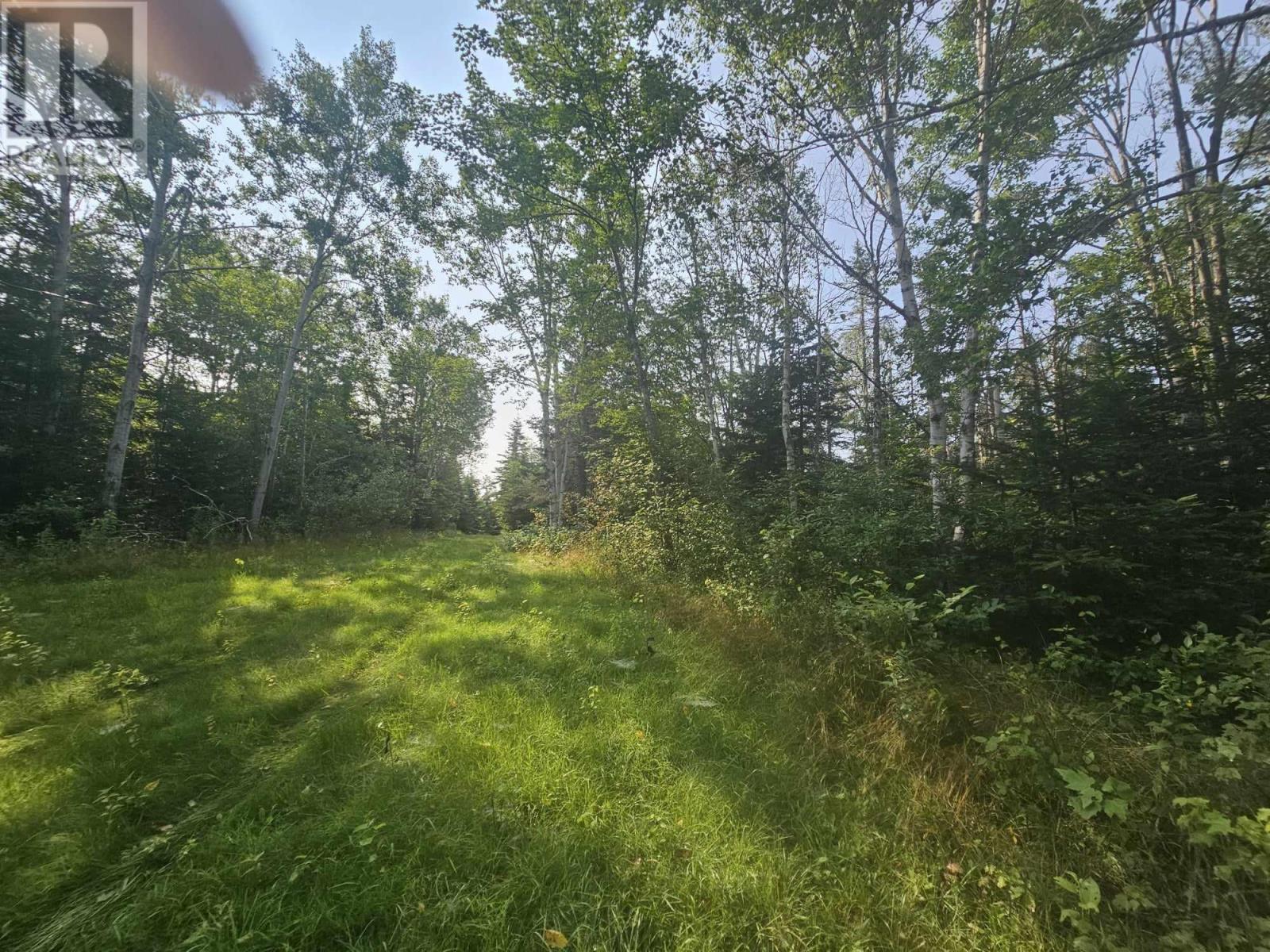 138 Grand Mira South Road, Marion Bridge, Nova Scotia  B1K 1E7 - Photo 19 - 202418101