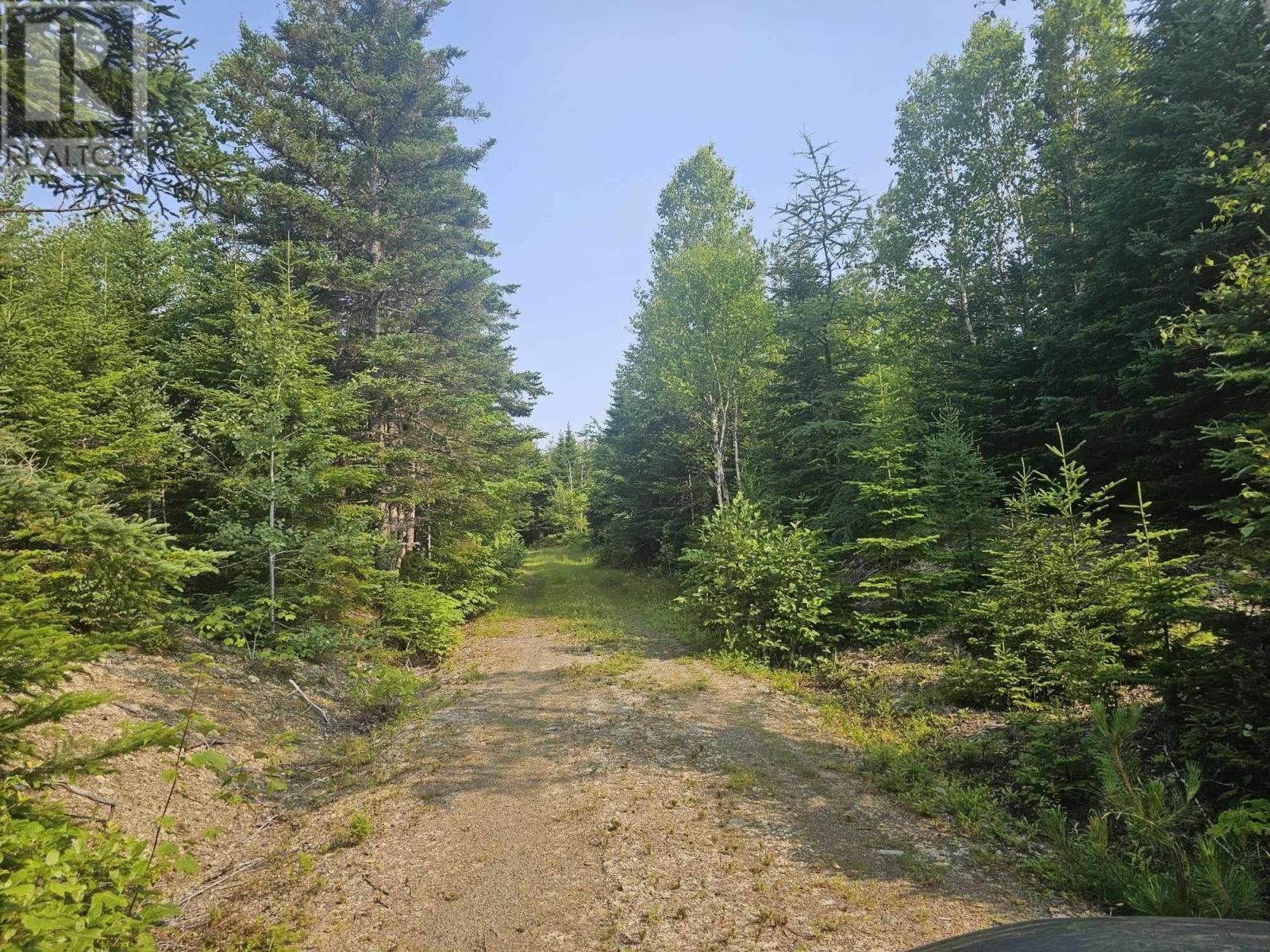 138 Grand Mira South Road, Marion Bridge, Nova Scotia  B1K 1E7 - Photo 20 - 202418101