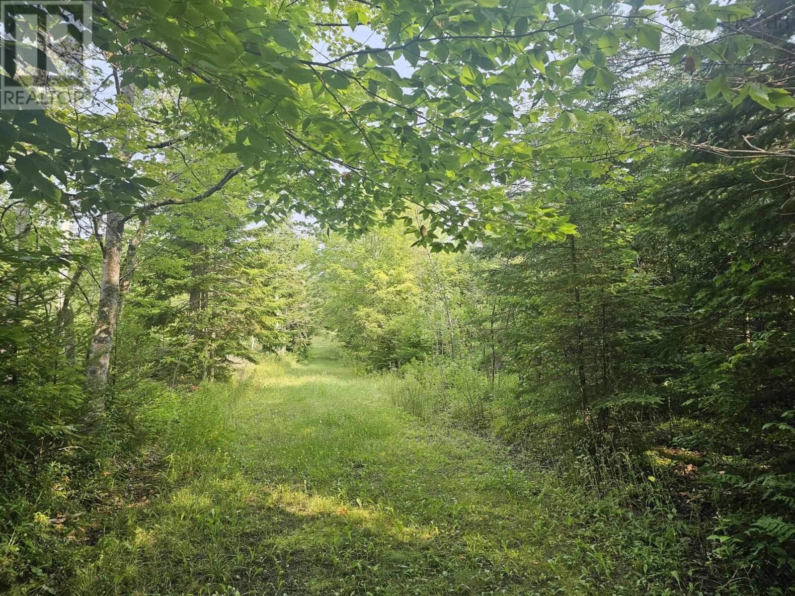 138 Grand Mira South Road, Marion Bridge, Nova Scotia  B1K 1E7 - Photo 21 - 202418101