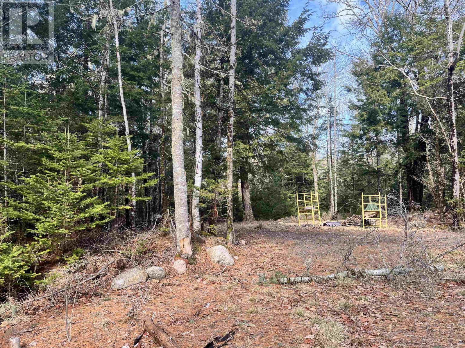 419 North River Road, New Germany, Nova Scotia  B6L 6X5 - Photo 10 - 202506290