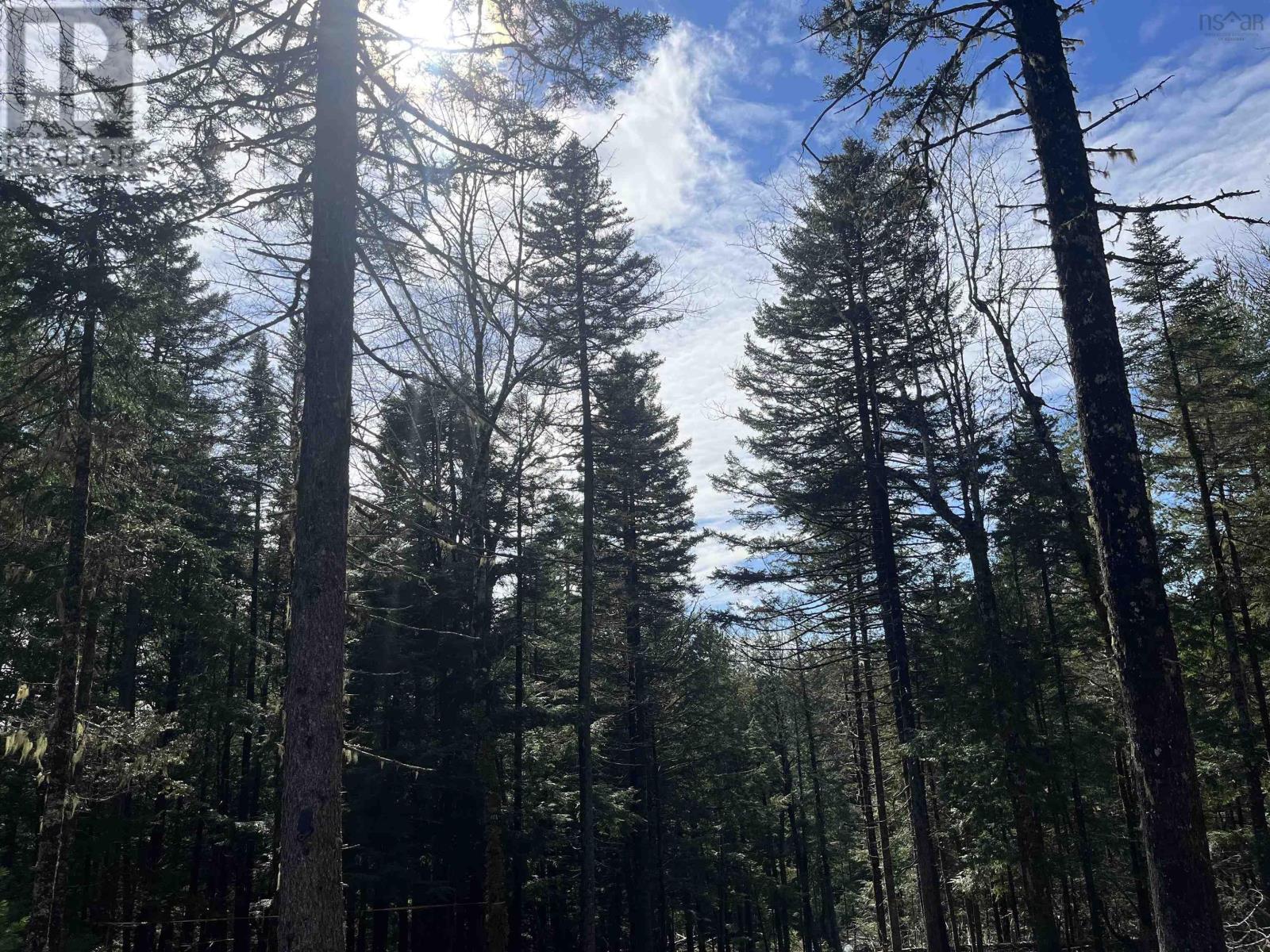 419 North River Road, New Germany, Nova Scotia  B6L 6X5 - Photo 11 - 202506290