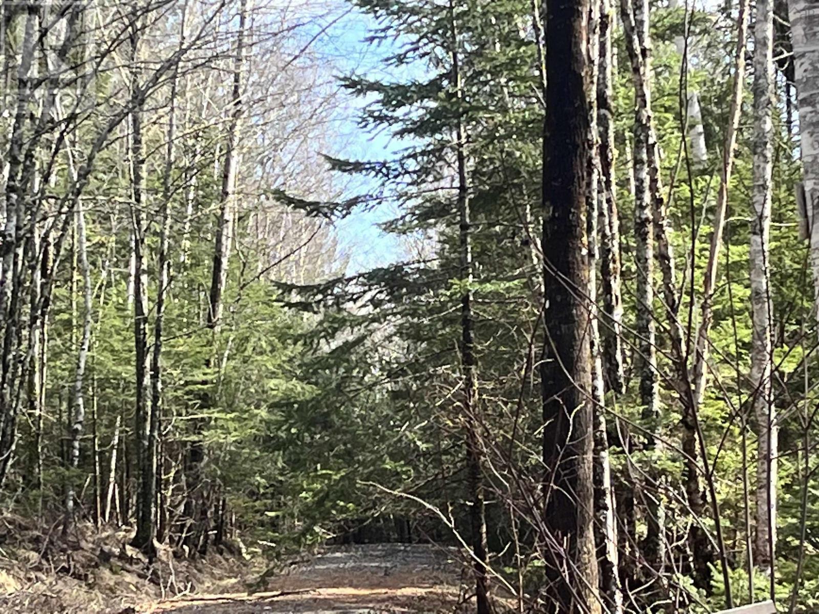 419 North River Road, New Germany, Nova Scotia  B6L 6X5 - Photo 12 - 202506290