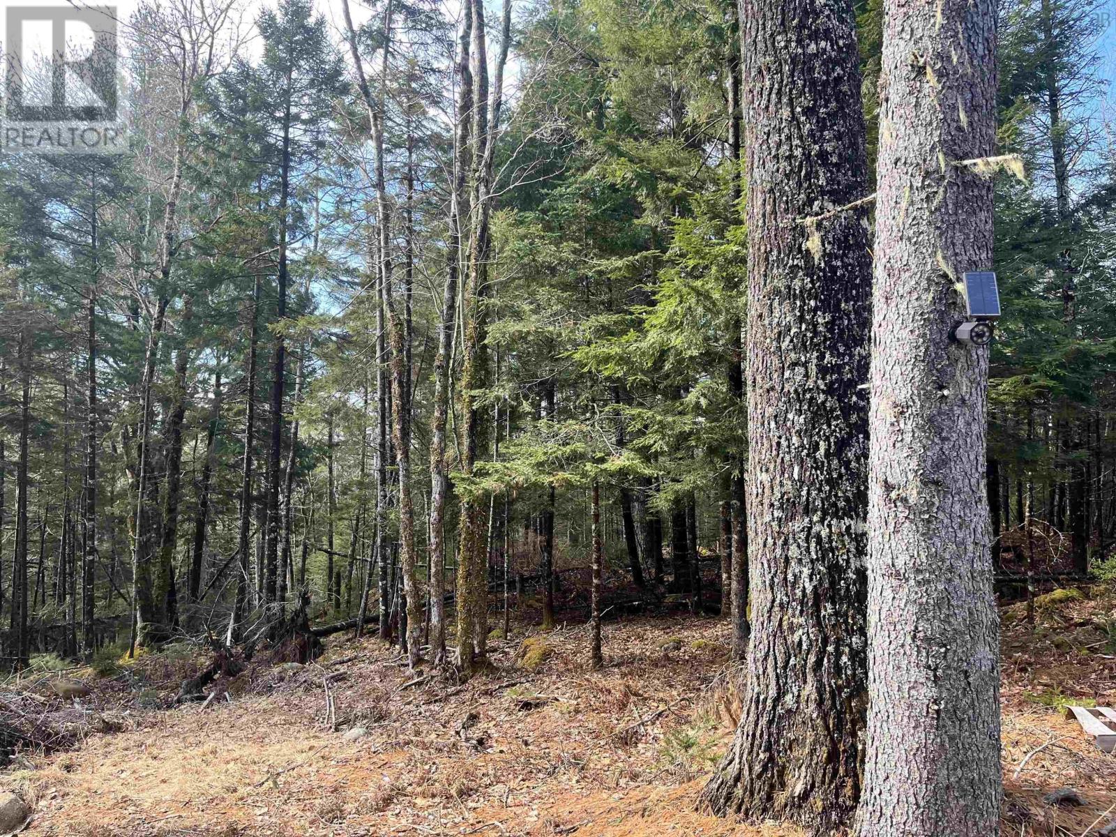 419 North River Road, New Germany, Nova Scotia  B6L 6X5 - Photo 14 - 202506290