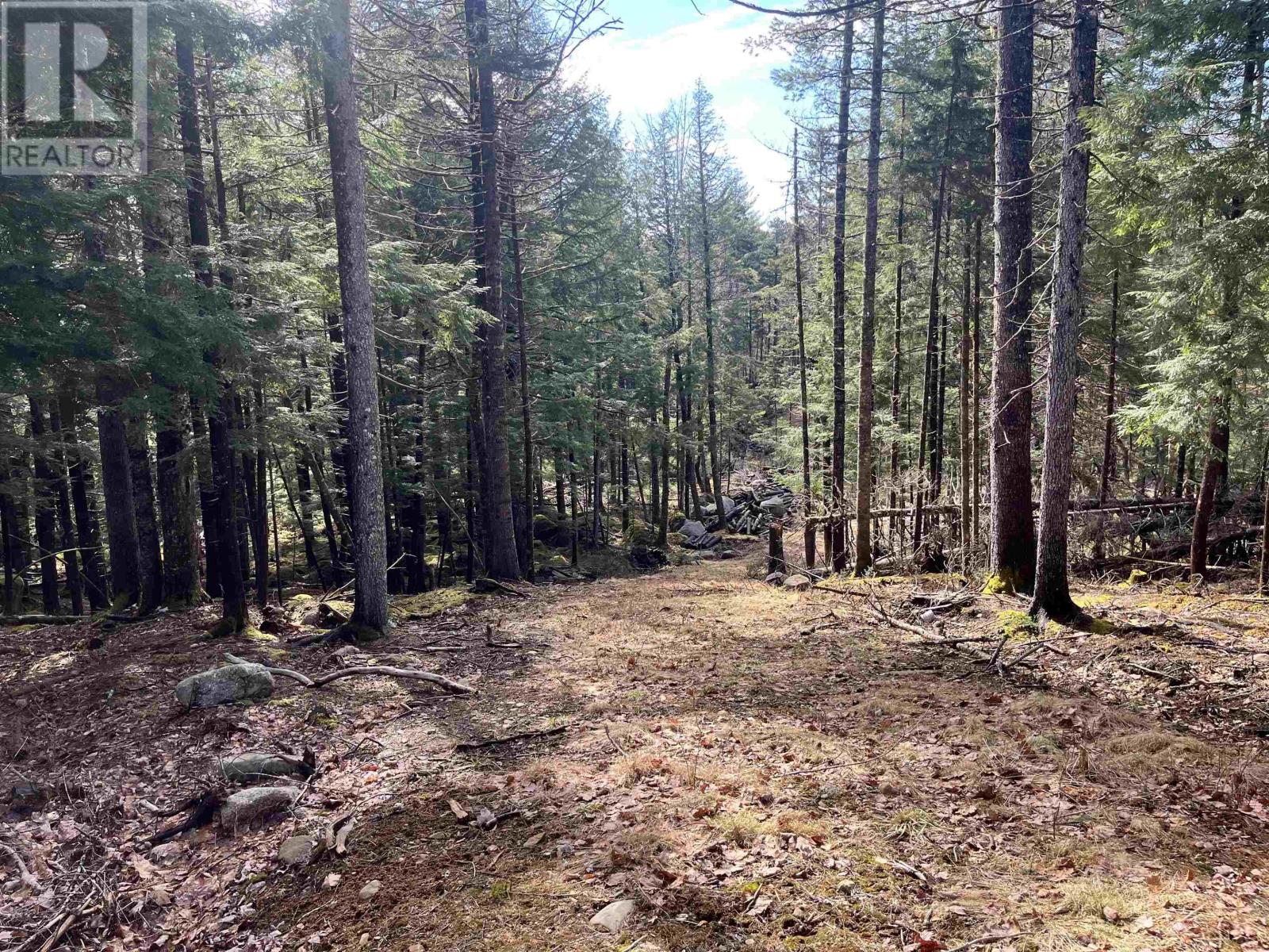 419 North River Road, New Germany, Nova Scotia  B6L 6X5 - Photo 16 - 202506290