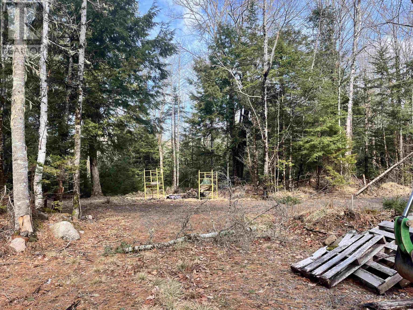 419 North River Road, New Germany, Nova Scotia  B6L 6X5 - Photo 3 - 202506290