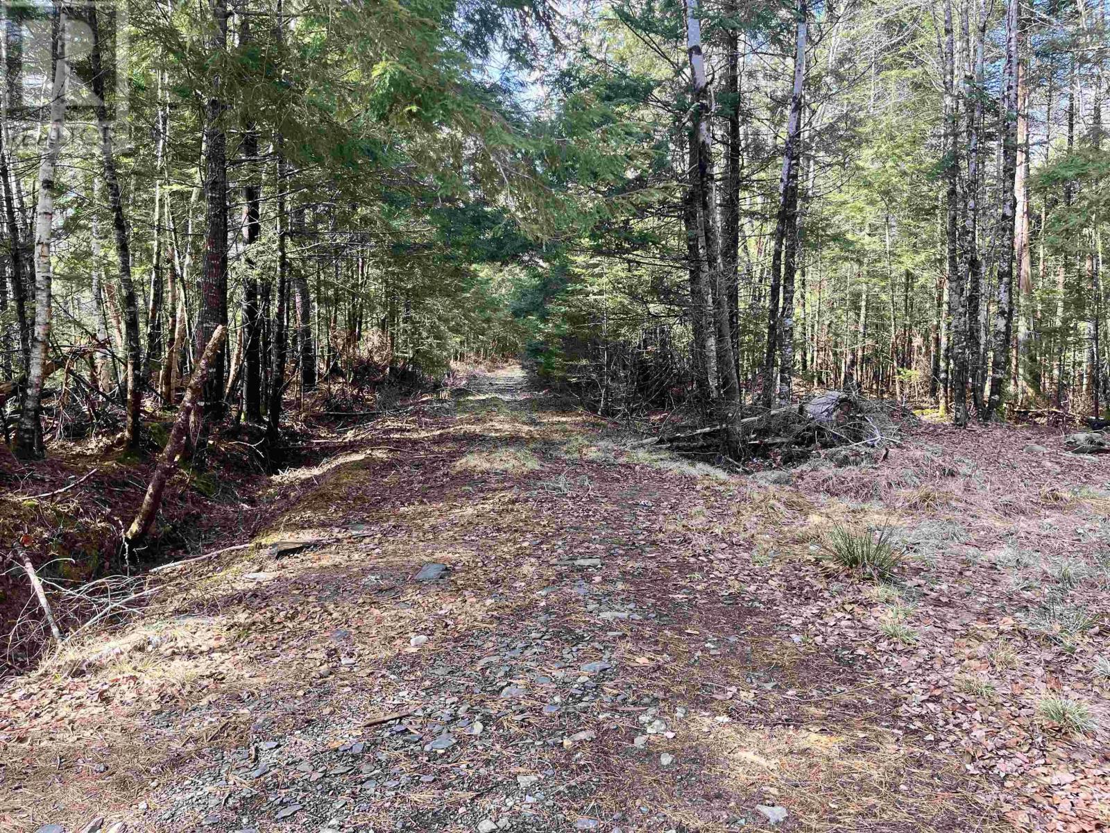 419 North River Road, New Germany, Nova Scotia  B6L 6X5 - Photo 6 - 202506290