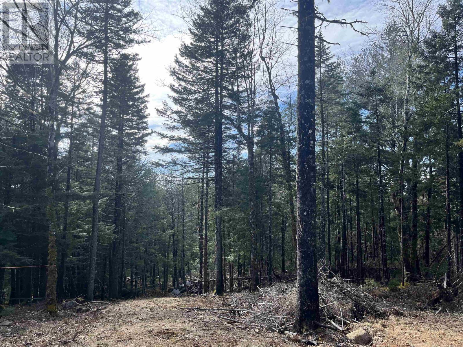 419 North River Road, New Germany, Nova Scotia  B6L 6X5 - Photo 8 - 202506290