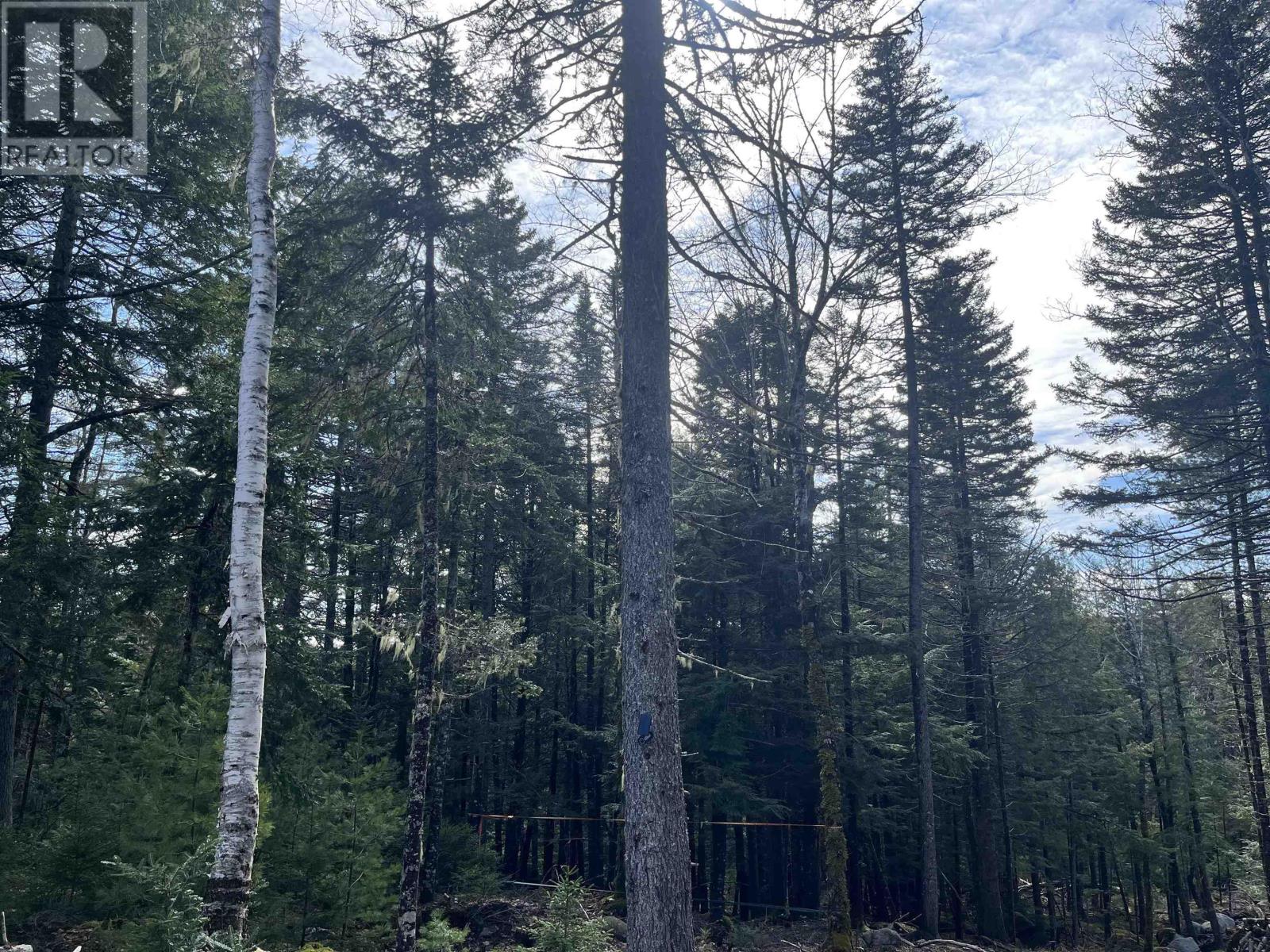 419 North River Road, New Germany, Nova Scotia  B6L 6X5 - Photo 9 - 202506290