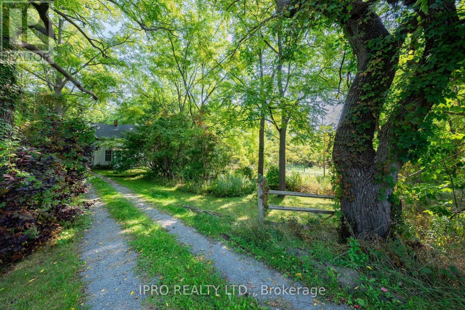 315 Main Street N, Newmarket, Ontario  L3Y 9A9 - Photo 6 - N12051430