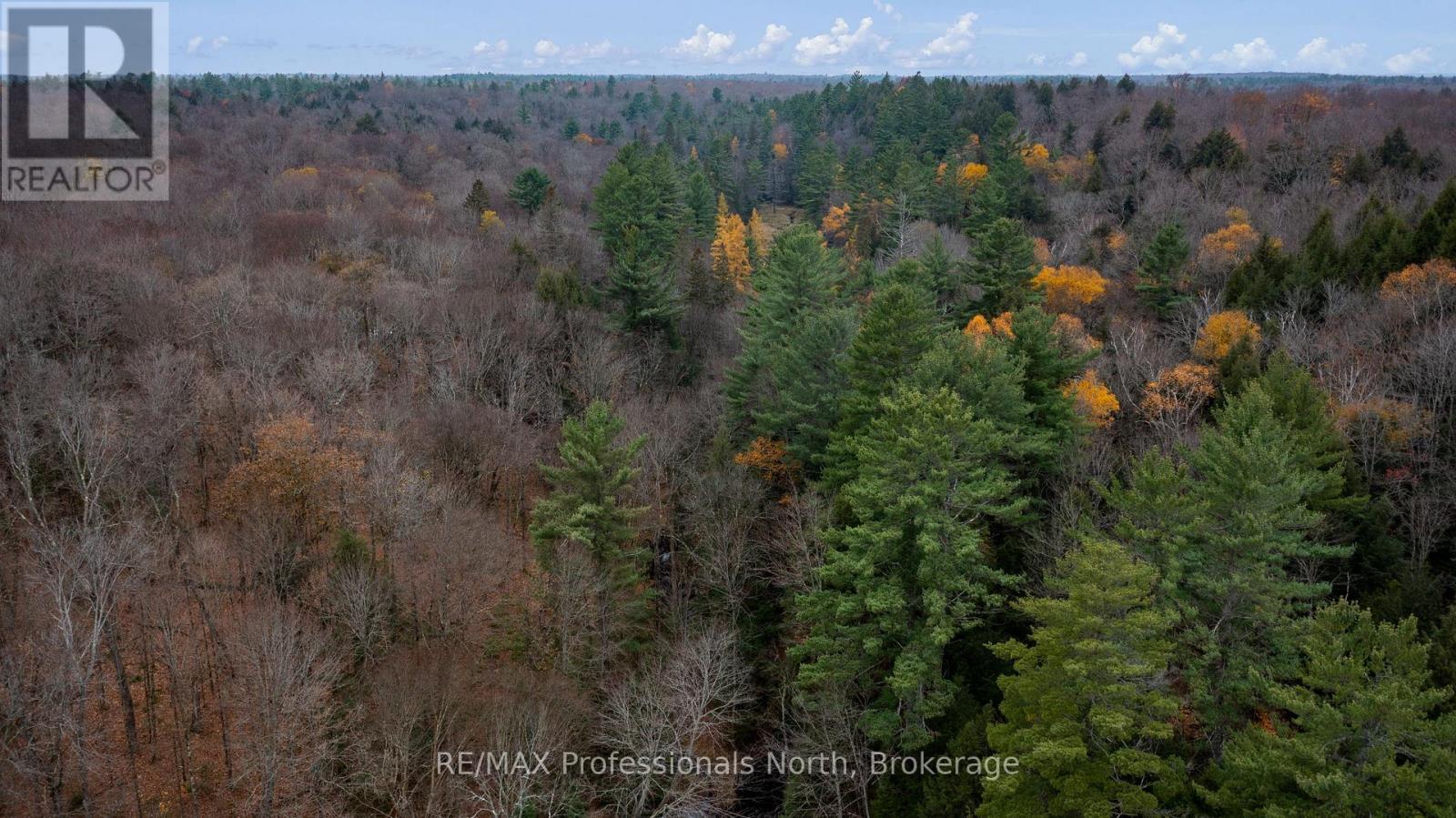 Lot 4 Carlsmount Road, Bracebridge, Ontario  P1L 1X1 - Photo 2 - X12051597