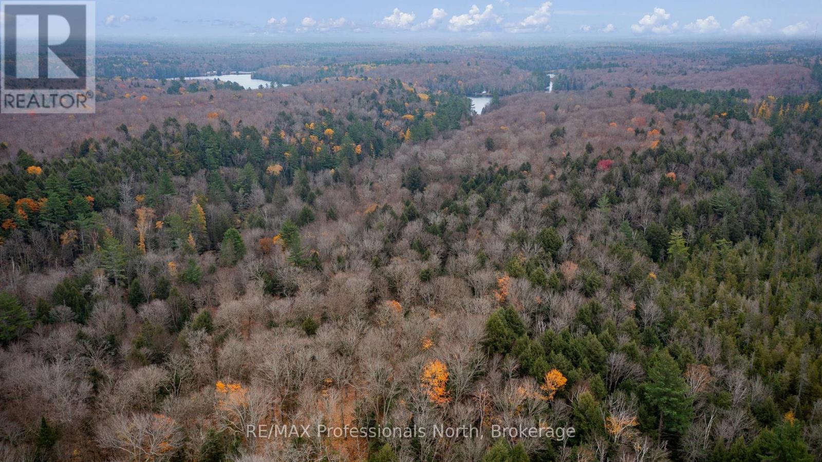 Lot 4 Carlsmount Road, Bracebridge, Ontario  P1L 1X1 - Photo 3 - X12051597