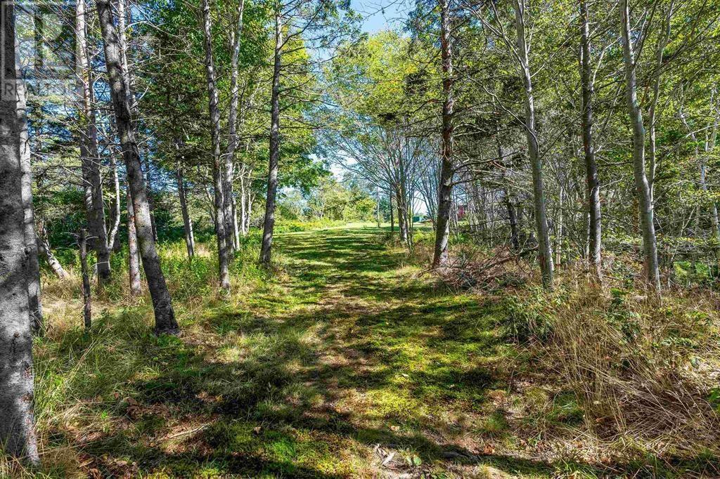 7093 Highway 101, Plympton, Nova Scotia  B0W 2R0 - Photo 27 - 202506298