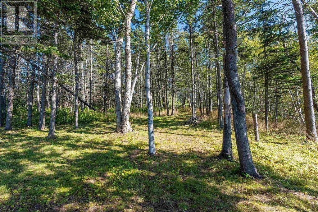 7093 Highway 101, Plympton, Nova Scotia  B0W 2R0 - Photo 29 - 202506298