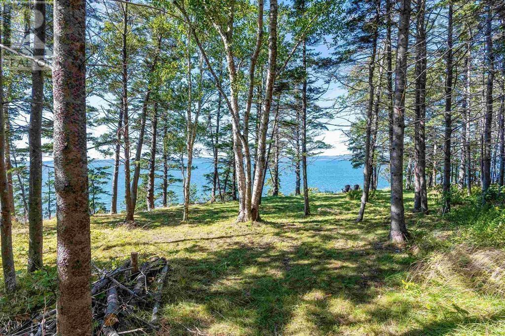 7093 Highway 101, Plympton, Nova Scotia  B0W 2R0 - Photo 30 - 202506298