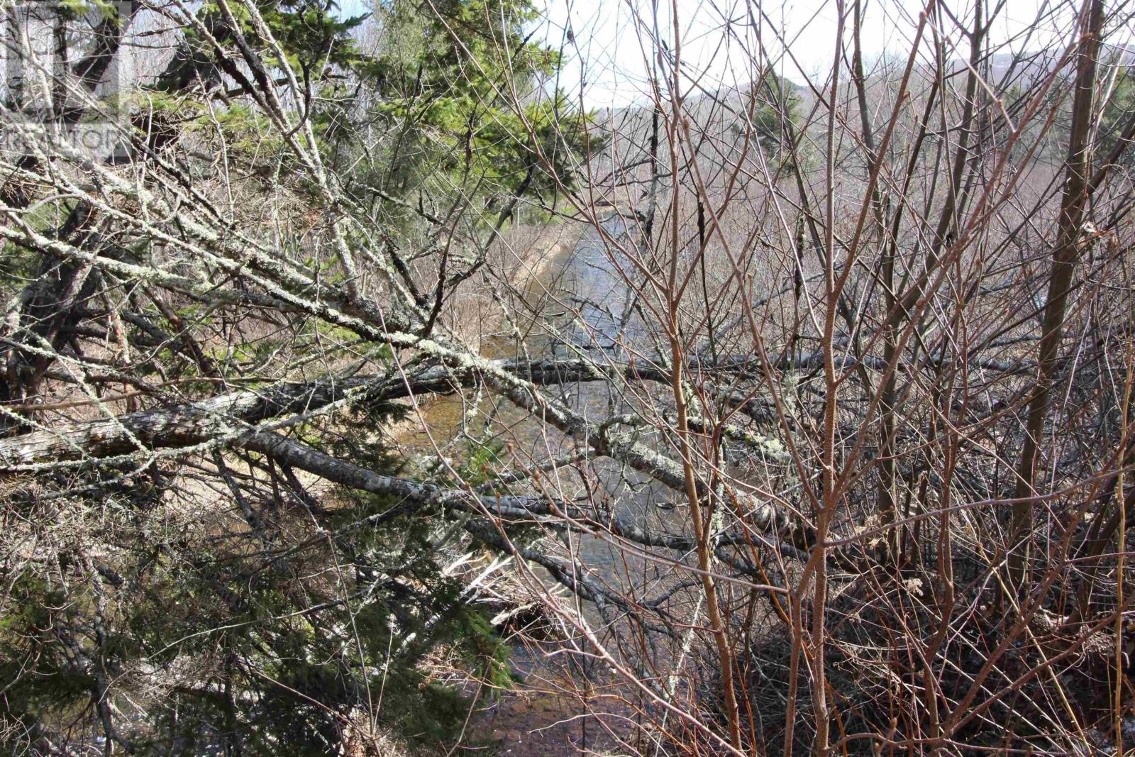 779 Highway 246, Wentworth, Nova Scotia  B0M 1Z0 - Photo 5 - 202506299