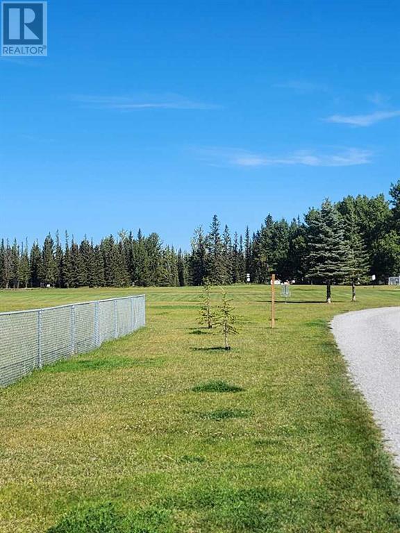 189, 5230 Highway 27, Rural Mountain View County, Alberta  t0m 1x0 - Photo 5 - A2207200