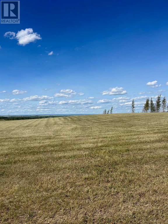 47 713019 Range Road 71, County Of, Alberta  T8W 5E9 - Photo 8 - A2201770
