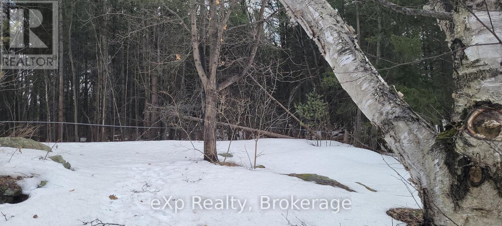 105 Bowes Street, Parry Sound, Ontario  P2A 2L8 - Photo 17 - X11965149