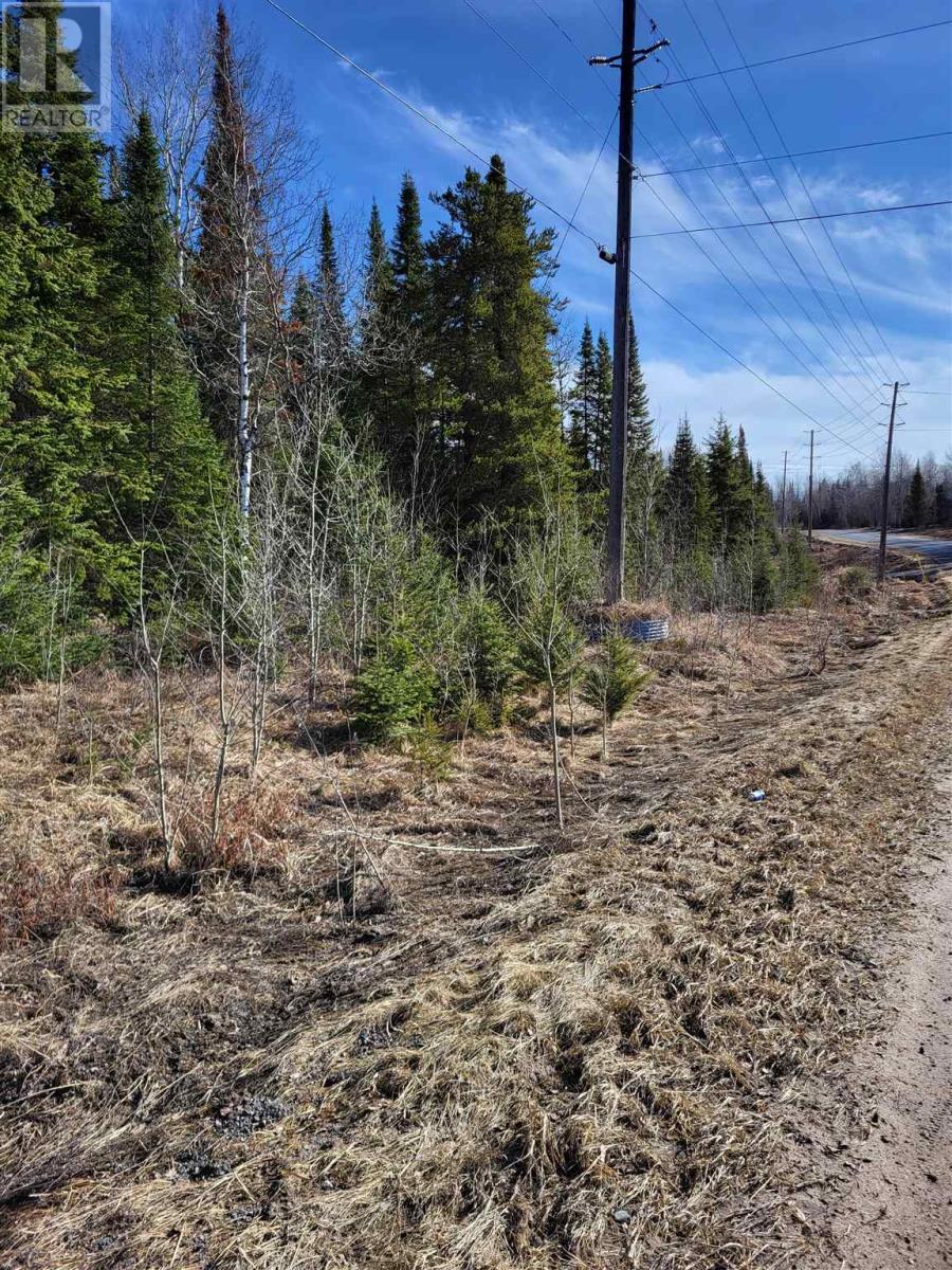 0 Jones Rd, Kenora, Ontario  P9N 3W8 - Photo 10 - TB240806