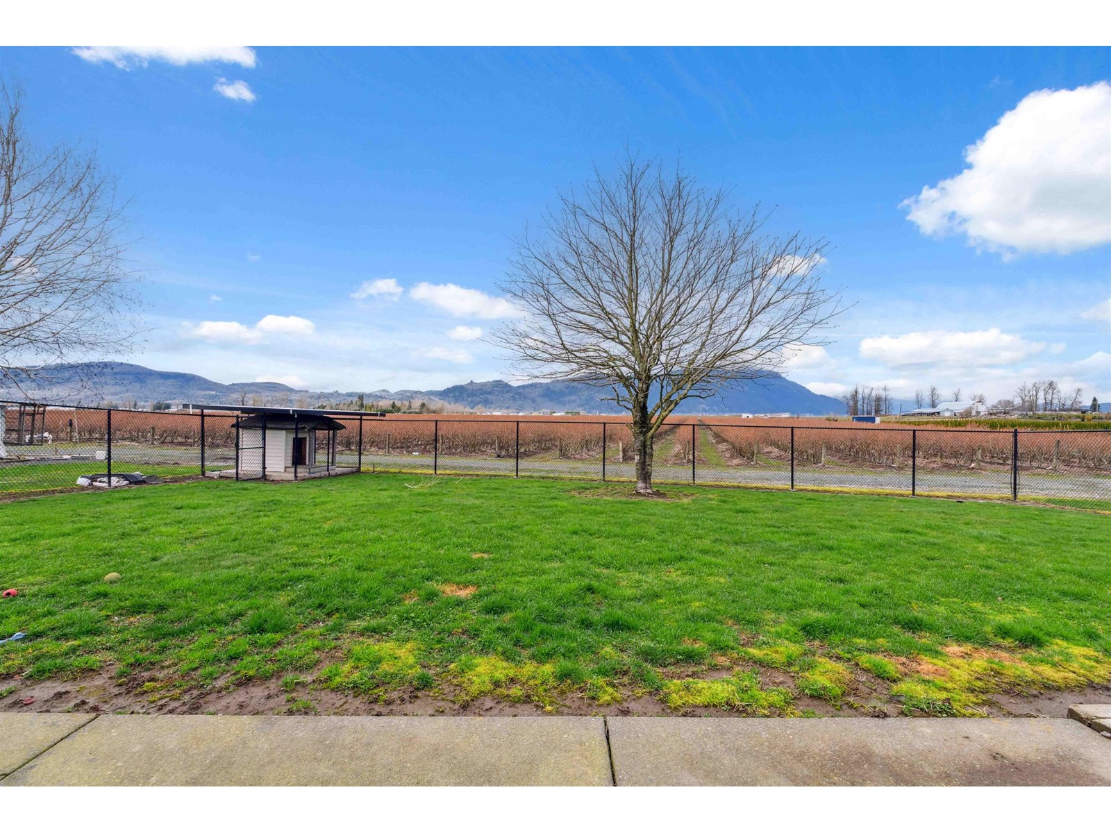 1885 Marion Road, Abbotsford, British Columbia  V3G 2J5 - Photo 33 - R2983061
