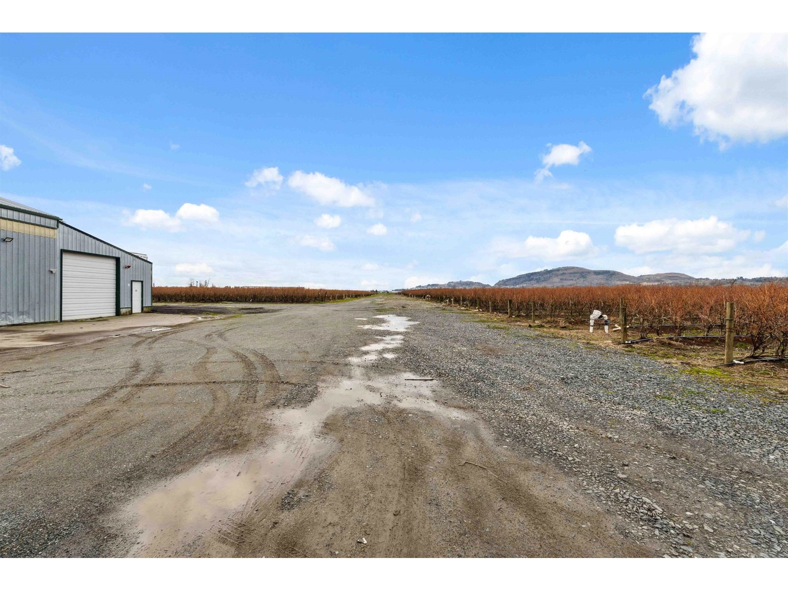 1885 Marion Road, Abbotsford, British Columbia  V3G 2J5 - Photo 36 - R2983061