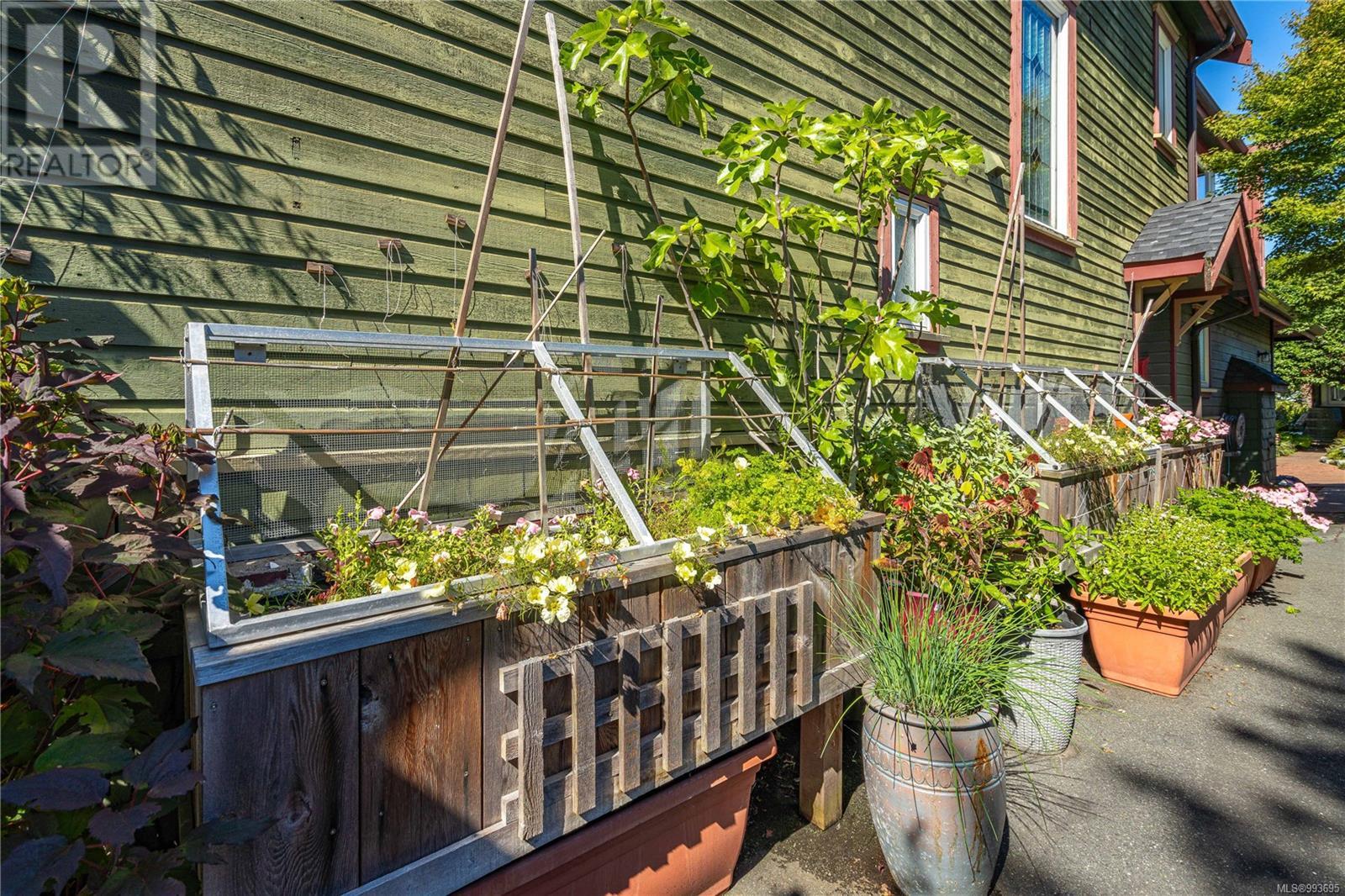 Property at 485 Head St image 4