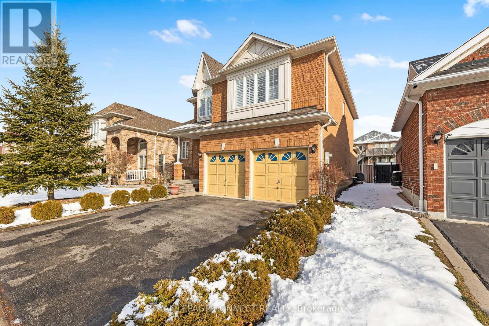Property at 15 ROOT CRESCENT image 3
