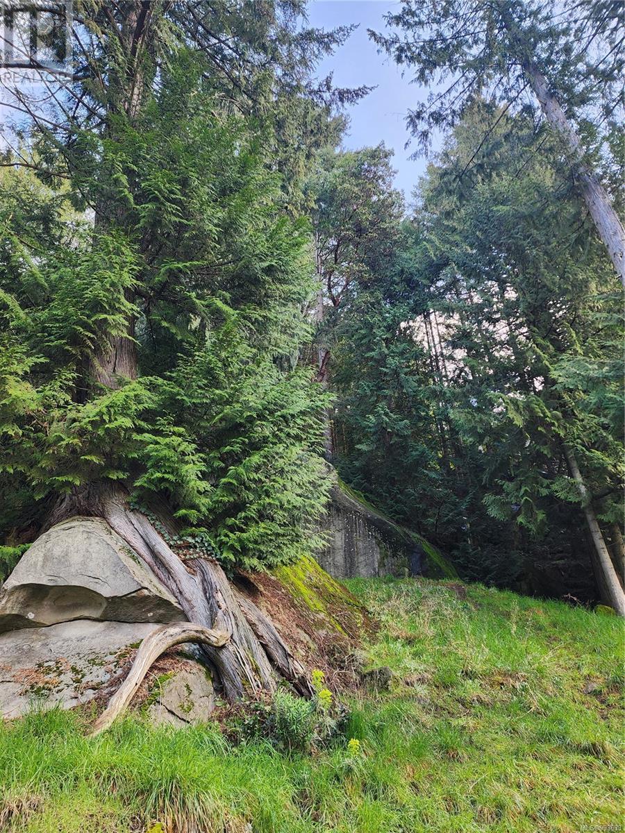 1040 Harrison Way, Gabriola Island, British Columbia  V0R 1X2 - Photo 15 - 993633