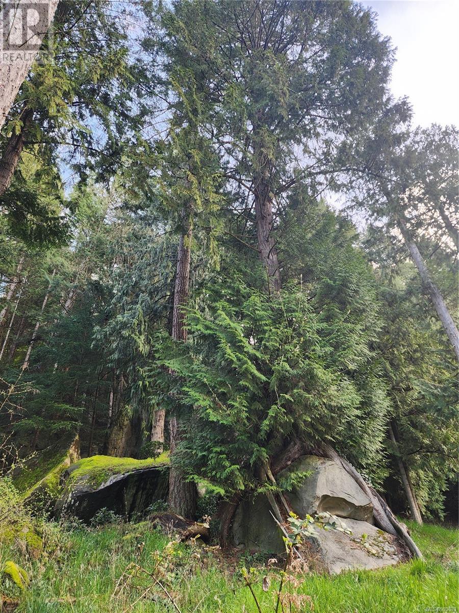 1040 Harrison Way, Gabriola Island, British Columbia  V0R 1X2 - Photo 16 - 993633