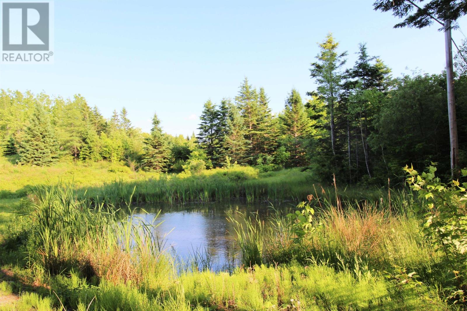 10 Long Lake Road, East Uniacke, Nova Scotia  B0N 1Z0 - Photo 45 - 202505427