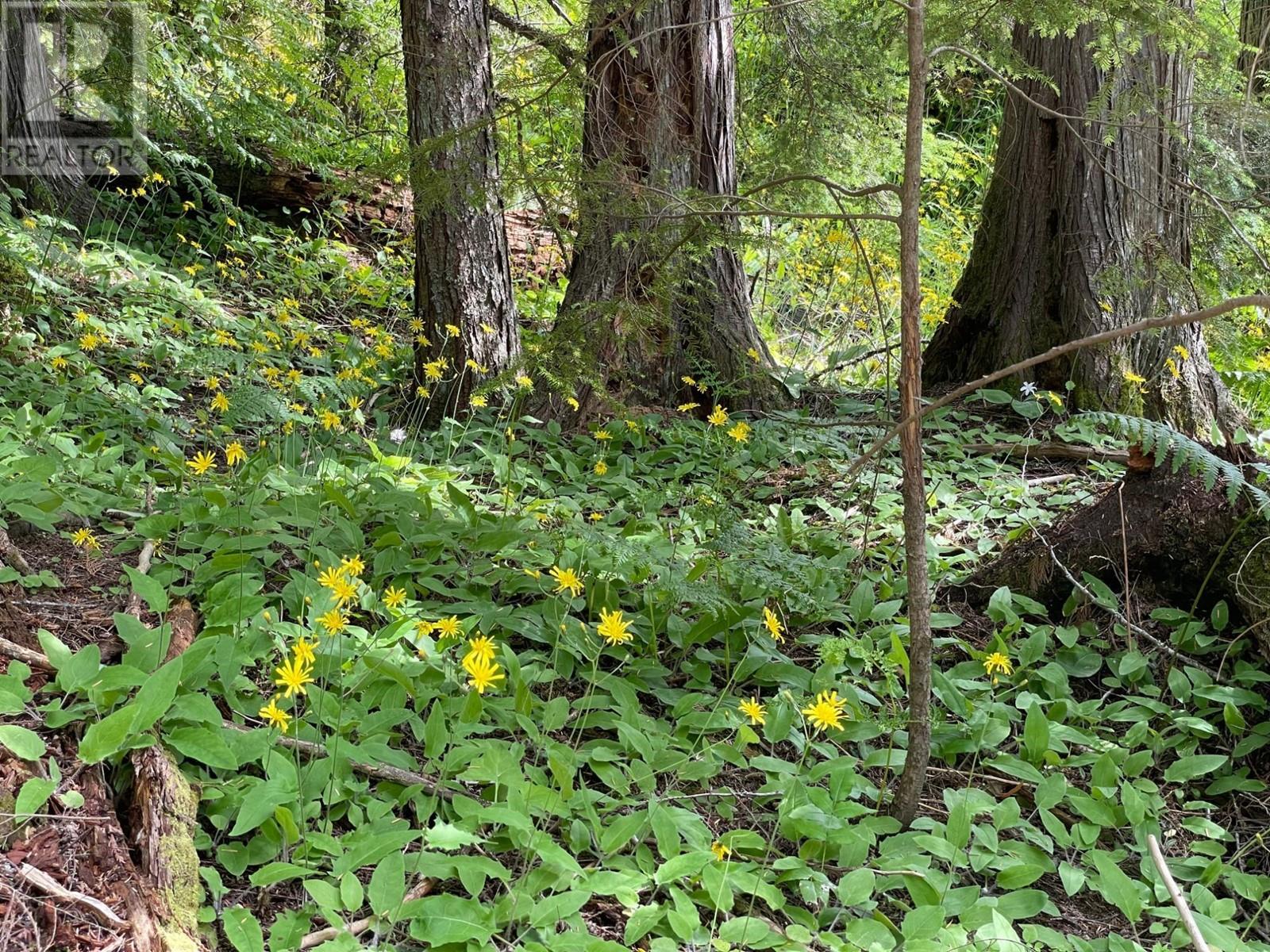 Lot 2 SELKIRK Road, crawford bay, British Columbia