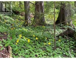 Lot 2 SELKIRK Road, crawford bay, British Columbia