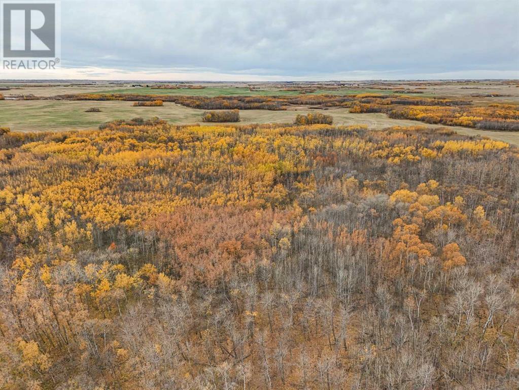 9-43-18-W4 & Nw 4-43-18-W4, Rural Camrose County, Alberta  T0B 1H0 - Photo 4 - A2206324