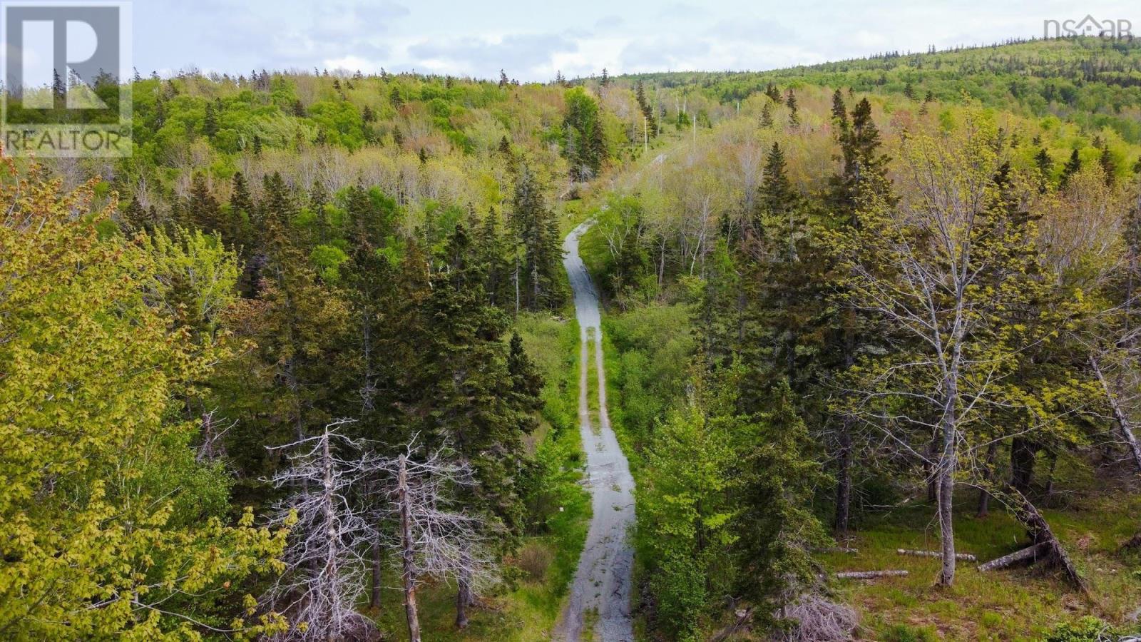 Lot 2 Macleod Pond Road, Roberta, Nova Scotia  B0E 2K0 - Photo 9 - 202310353