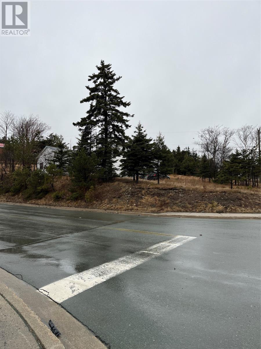 Property at 1566 Topsail Road image 3