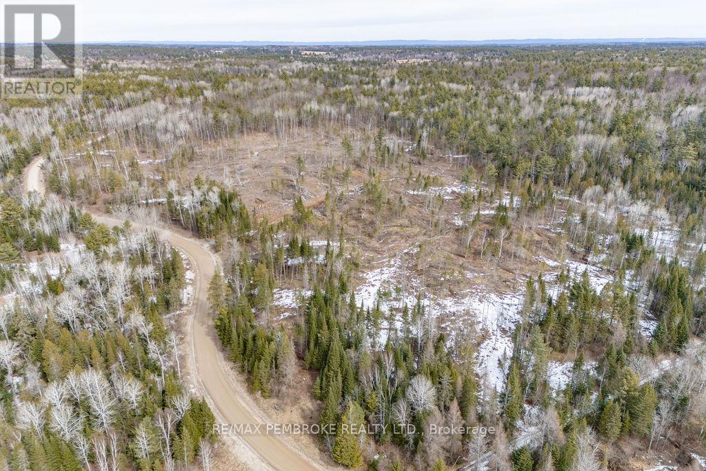 744 Black Creek Road, North Algona Wilberforce, Ontario  K8A 6W5 - Photo 10 - X12023771