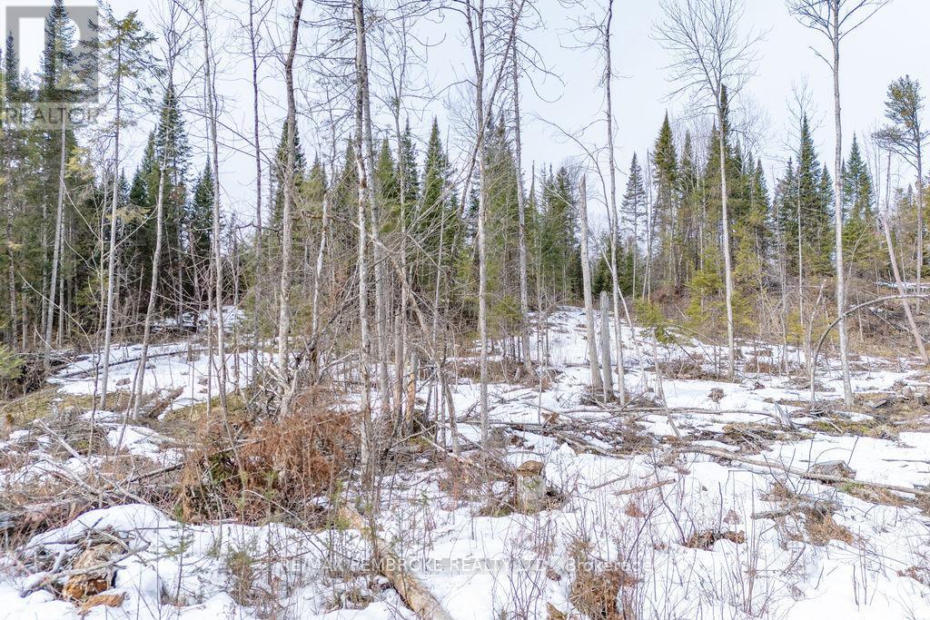 744 Black Creek Road, North Algona Wilberforce, Ontario  K8A 6W5 - Photo 11 - X12023771