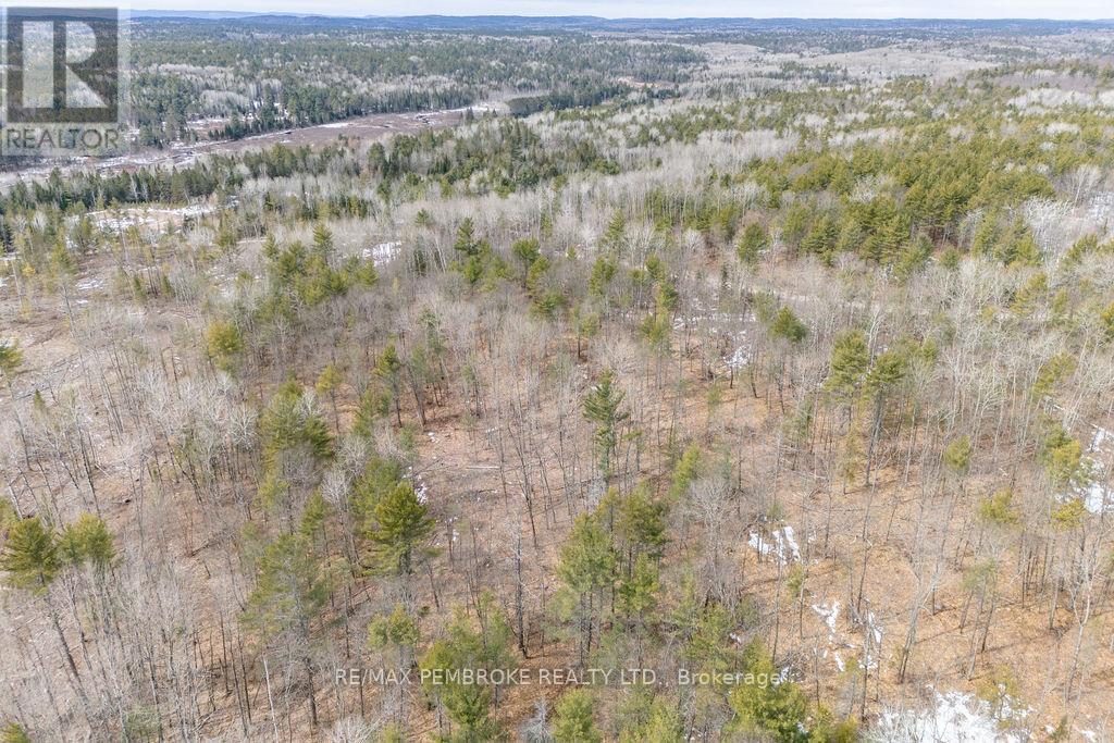744 Black Creek Road, North Algona Wilberforce, Ontario  K8A 6W5 - Photo 12 - X12023771