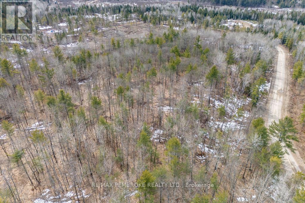 744 Black Creek Road, North Algona Wilberforce, Ontario  K8A 6W5 - Photo 13 - X12023771