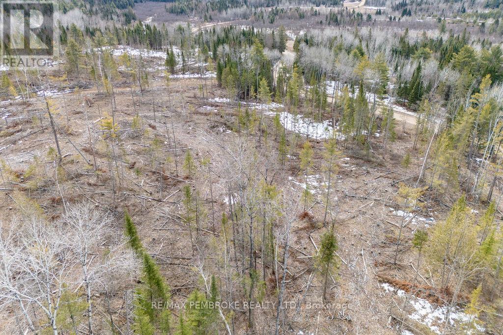 744 Black Creek Road, North Algona Wilberforce, Ontario  K8A 6W5 - Photo 15 - X12023771